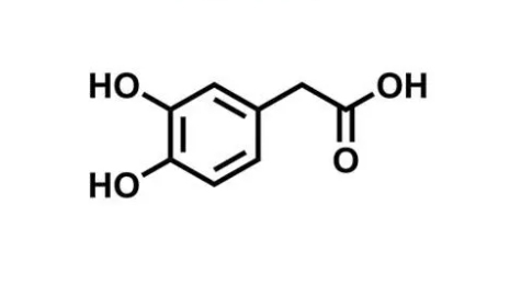 ácido homoprotocatecuico