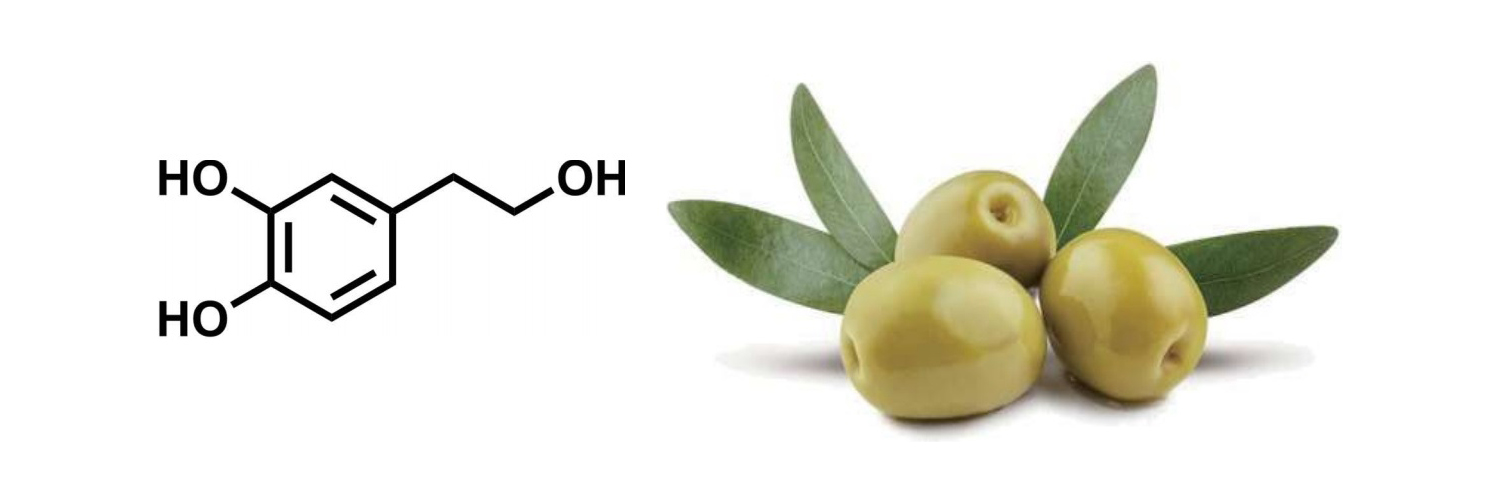 Hidroxitirosol - o reforço imunológico definitivo para melhorar o bem-estar