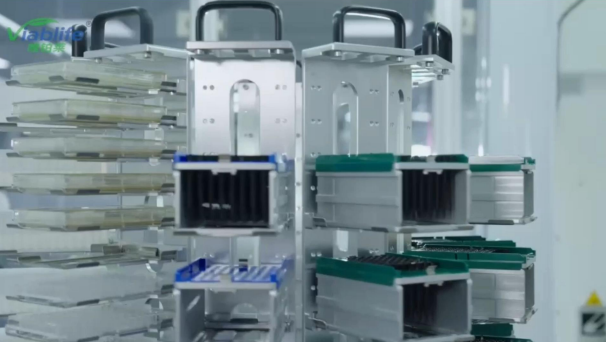 Produção de nicotinamida da Viablife: pioneirismo em novas tecnologias para um futuro sustentável