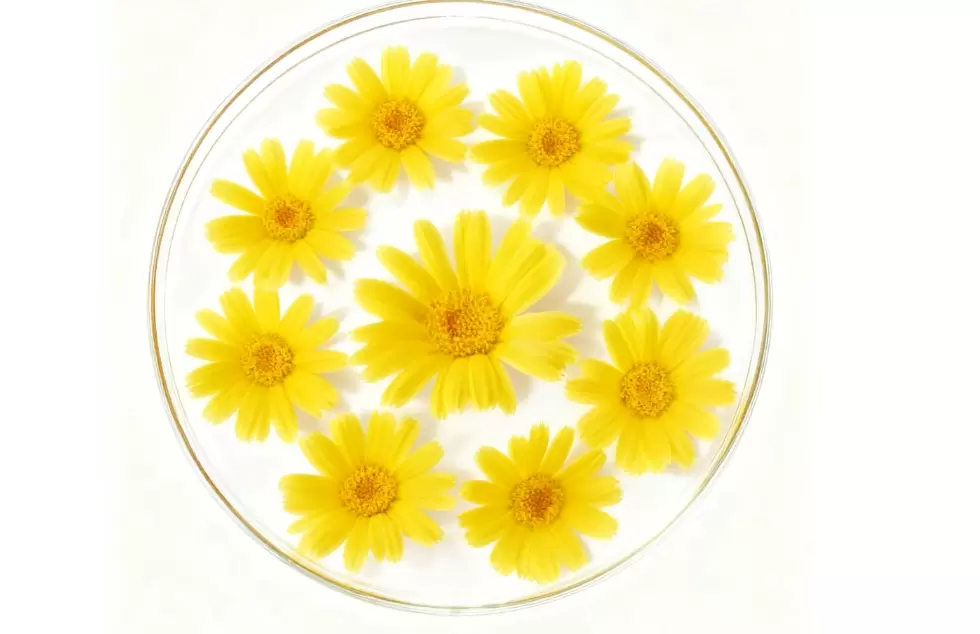 Cuidados com a pele sustentáveis com α-Bisabolol natural biossintético
