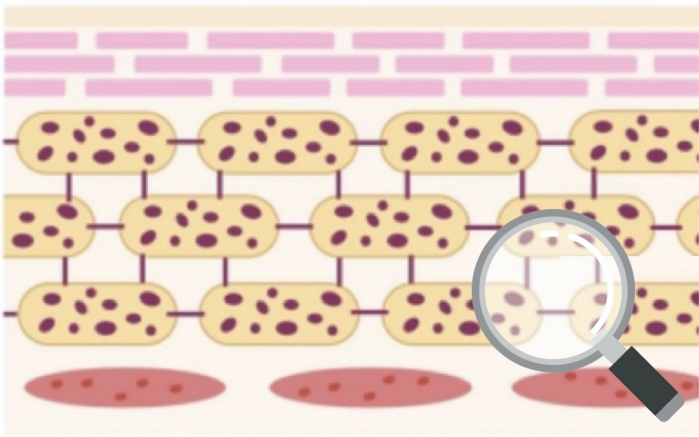 A Revolução Dual: Da Reparação à Resiliência The Dual Revolution: From Repair to Resilience