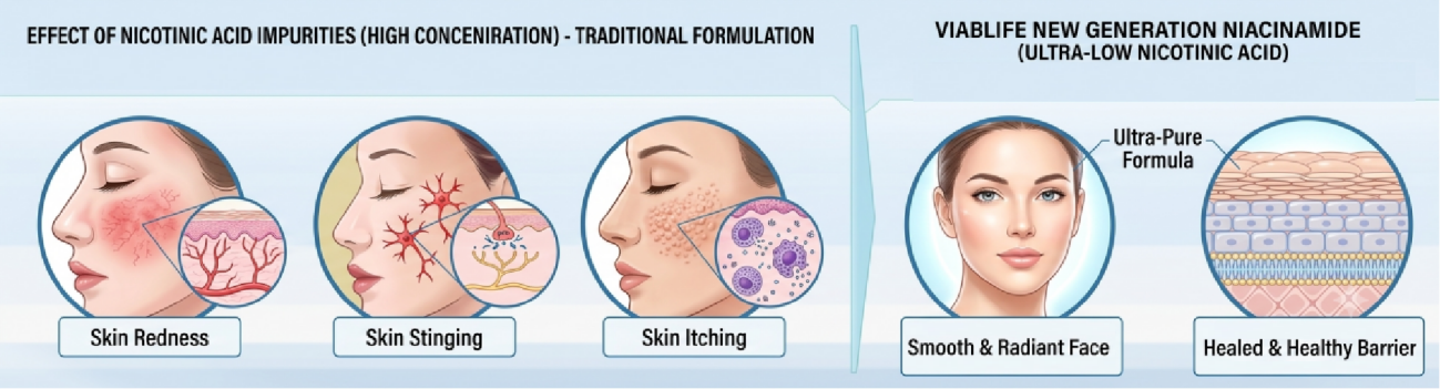 Niacinamida de alta qualidade Top Niacinamide